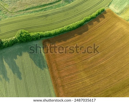 Aerial view of farmland patchwork. Fields with different colors in countryside. Background showing rural area.