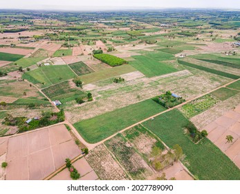 Aerial view of farmlands. Aerial high angle view of the green rice field in countryside Thailand.