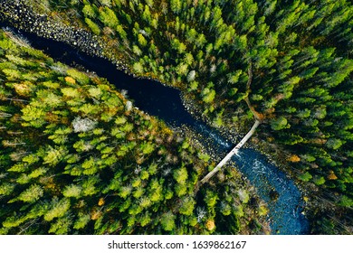 Aerial view of fast river through green pine forest in Finland, Oulanka national park. - Powered by Shutterstock