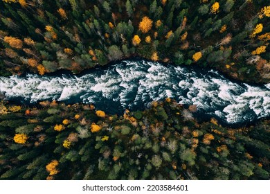 Aerial view of fast river through fall woods or forest with colorful trees in Finland. - Powered by Shutterstock