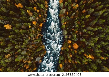 Aerial view of fast river through fall woods or forest with colorful trees in Finland.