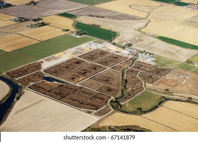 An Aerial View Of A Feed Lot Operation