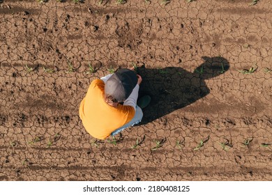 Aerial view of female farmer checking up on corn seedling crop development on plantation field, drone pov high angle view - Powered by Shutterstock