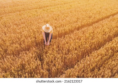 Aerial View Of Female Farmer Working In Ripe Barley Crop Field, High Angle View From Drone Pov