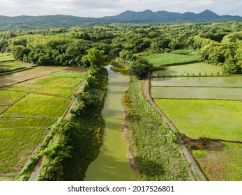 Aerial View Field Environment Forest Nature Agricultural Farm Mountain Background, River And Green Tree Top View Rice Field From Above