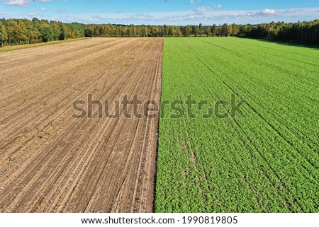 Aerial view of a field, half of which is uncultivated and covered with young green plants, strip of forest on the horizon, abstract