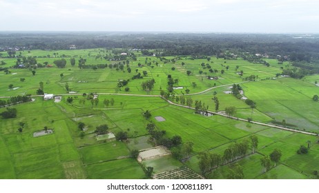 Aerial view of field at small town in THAILAND. Aerial photo of vegetable farming. - Shutterstock ID 1200811891