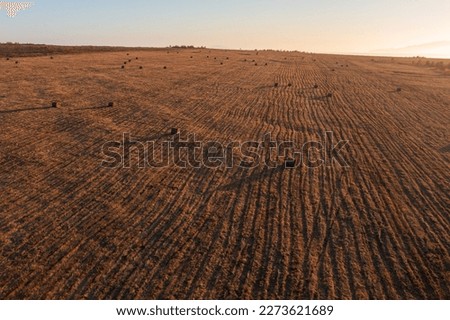 Aerial view of fields during haymaking. Beautiful rural landscape. Top view of a mowed field and haystacks. Agriculture in the countryside. Autumn season.