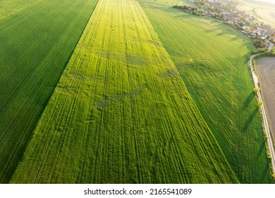 Aerial view of fields in springtime