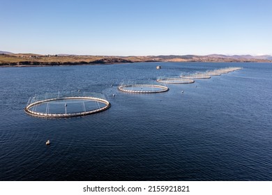 Aerial view of fish farm in County Donegal - Ireland