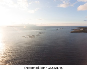 Aerial View Of A Fish Farms At The Coast Of Aegean Sea. Circle Fish Farming Industry