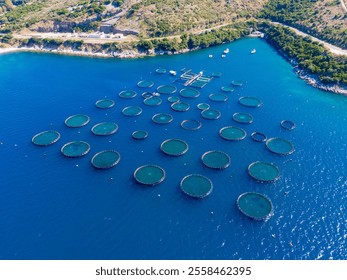 Aerial view of fish farms in the ocean. - Powered by Shutterstock