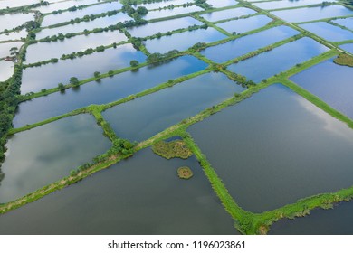 Aerial View Fish Hatchery Pond