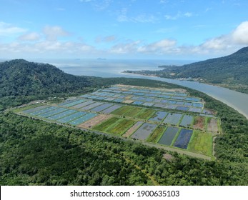 Aerial View Of A Fishery And Prawn Farm In Santubong Area Of Sarawak, Malaysia