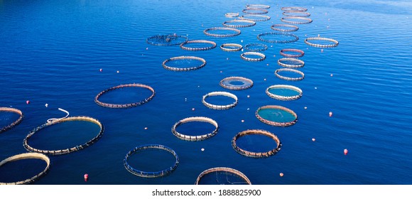 Mariculture Images, Stock Photos & Vectors | Shutterstock