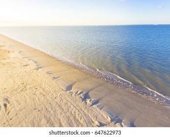 Aerial View Flock Of Gulls On A Sandy Beach. Flying Seagulls Over The Shore Of Galveston Beach With Calm Wave, Foam And Blue Sky During Sunset In Texas, America. Natural Background.