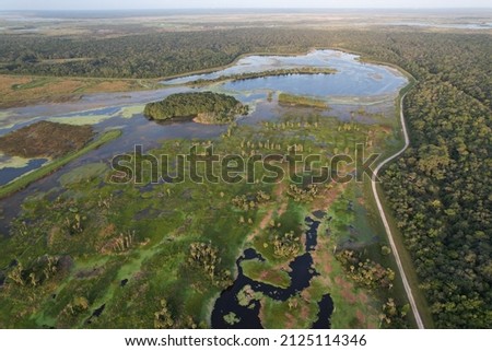 Aerial View of Florida Swampland