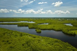 Aerial View Of Florida Wetlands With Green Vegetation Between Ocean Water Inlets. Natural Habitat Of Many Tropical Species