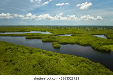 Aerial view of Florida wetlands with green vegetation between ocean water inlets. Natural habitat of many tropical species