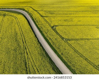 aerial view of flowering rapeseed fields crossed by a country road