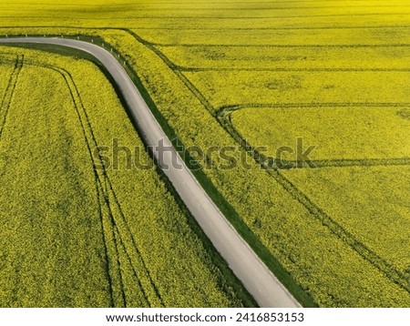 aerial view of flowering rapeseed fields crossed by a country road