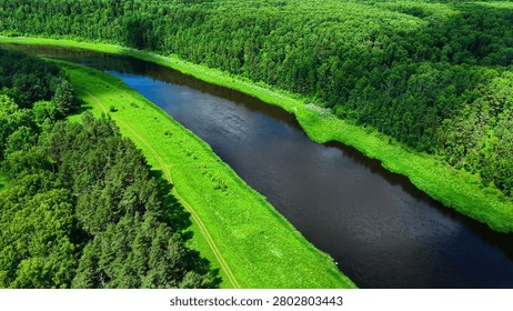 Aerial view of flowing river bordered by dense green forest in bright summer colors