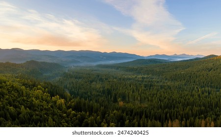 Aerial view of foggy evening over high peaks with dark pine forest trees at bright sunset. Amazing scenery of wild mountain woodland at dusk - Powered by Shutterstock