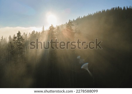 Similar – Foto Bild overfog Winter Umwelt