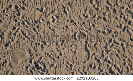 Aerial view of a footprints in wet sand on a beach during a sunset. Beach and footsteps on a vacation concept.