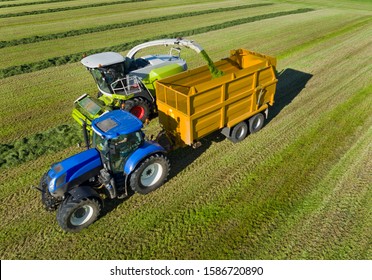 Aerial View Of Forage Harvester Cutting Grass Silage Crop In Field And Filling Tractor Trailer