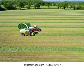 Aerial View Of Forage Harvester Cutting Grass Silage Crop In Field And Filling Tractor Trailer