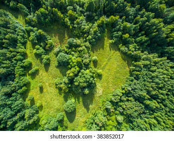 Aerial view of forest - Shutterstock ID 383852017