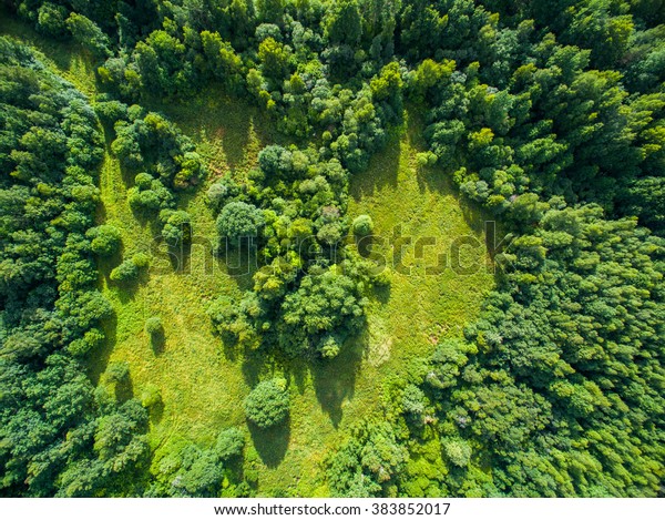 森の空撮 の写真素材 今すぐ編集