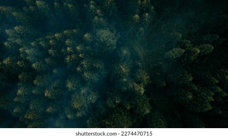 Aerial view of the forest in the Bieszczady mountains in Poland. - Shutterstock ID 2274470715