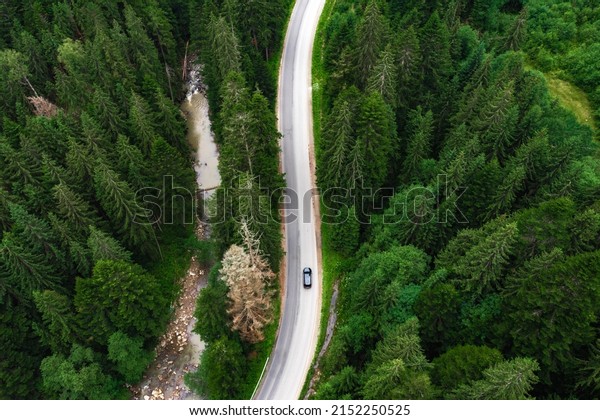 Aerial\
view of a forest with a car driving along the\
road