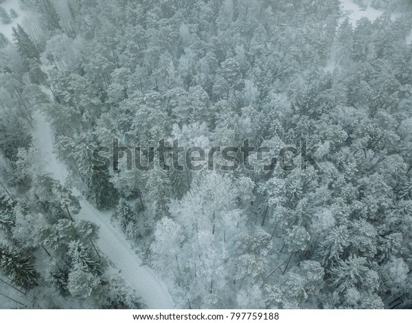  aerial view of\
forest covered with snow