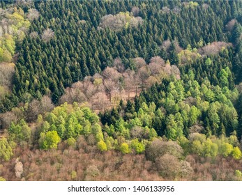 Aerial View Of A Forest In The Department Of Seine Maritime In France