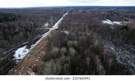 An aerial view of a forest with dry bare leafless trees on a cold winter day in Jurmala, Latvia