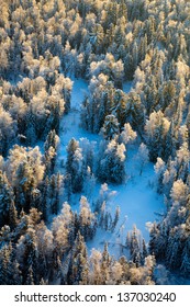 Aerial view of forest during winter day.