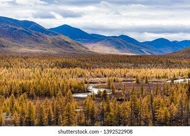 Aerial View Of Forest In The Far East, Russia