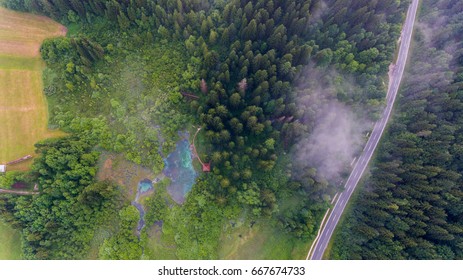 Aerial View Of A Forest With Lake.