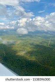 An Aerial View Of The Forest Landscape In Florida Panhandle