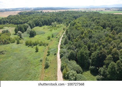 Aerial View Of  Forest Landscape  In Poland