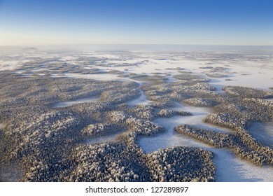 Aerial view of forest in time of winter day.