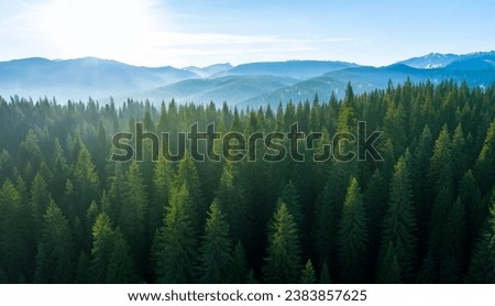 Similar – Image, Stock Photo Mountain panorama with hiking trails