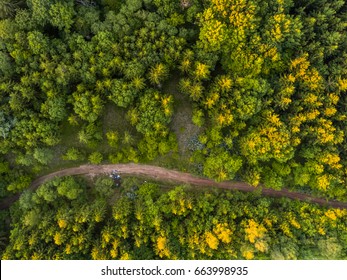 Aerial View Of The Forest Trees And Road From The Top View