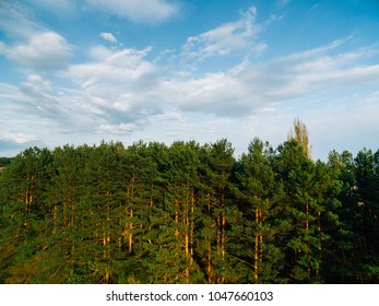 Aerial view of the forest under clouds on a sunny day