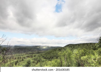 Aerial view of the forest under clouds during the summer.
