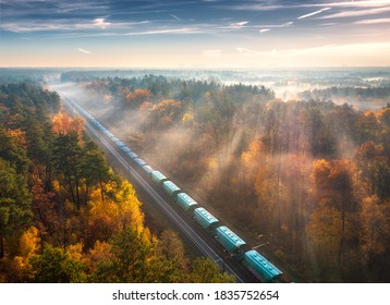Aerial view of freight train and beautiful forest in fog at sunrise in autumn. Colorful landscape with railroad, moving train, foggy trees, sunbeams and blue sky in fall. Top view. Railway station - Powered by Shutterstock