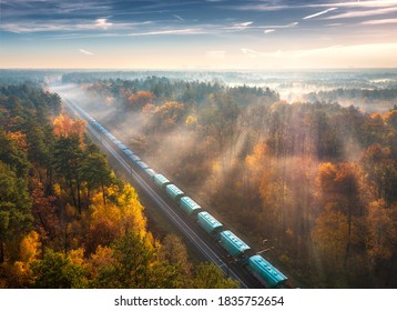 Aerial view of freight train and beautiful forest in fog at sunrise in autumn. Colorful landscape with railroad, moving train, foggy trees, sunbeams and blue sky in fall. Top view. Railway station